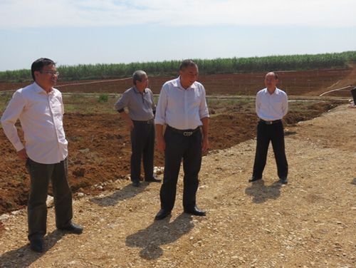 由南寧市農(nóng)業(yè)委員會副主任顧安家?guī)ьI(lǐng)市農(nóng)委改革科,蔬菜糖料作物科有